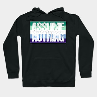 Assume Nothing Gay Male Pride Flag Hoodie